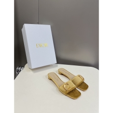 Christian Dior Slippers